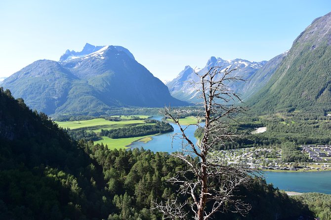 Via Ferrata Åndalsnes Intro Wall - Learning as you climb: flora and fauna talk with real context