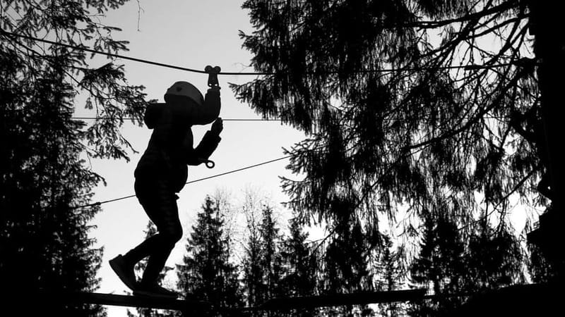 Voss High Rope & Zipline Park - Choosing the right course by height (and why that matters)