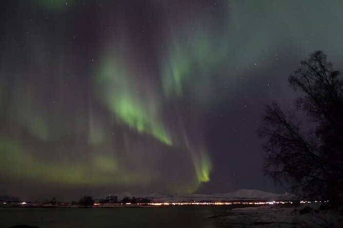 Watching The Aurora Dance - The Cabin Break: Warmth, Fire, Food, and a Real Reset