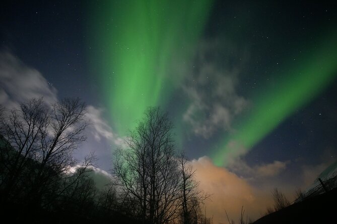 Watching The Aurora Dance - Price and Value: What You Pay For at $167.36