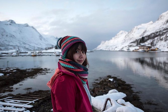 Winter Fjord Road Trip with Wandering Owl - Why this Kvaløya winter drive works better than a day stuck in Tromsø