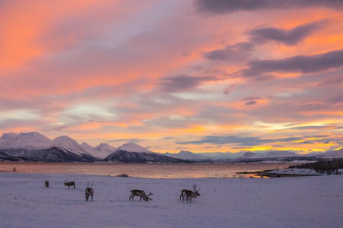 Winter Fjord Road Trip with Wandering Owl - The guides and the photo promise, from Evgeni to Bart to Max