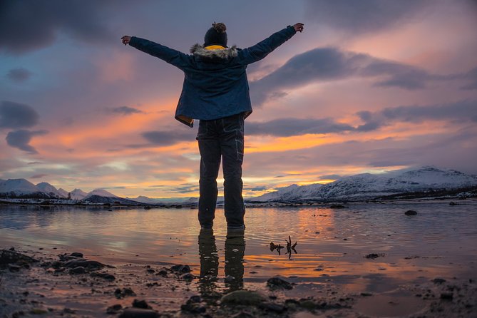 Winter Fjord Road Trip with Wandering Owl - Time on the road, group size up to 15, and value around $140