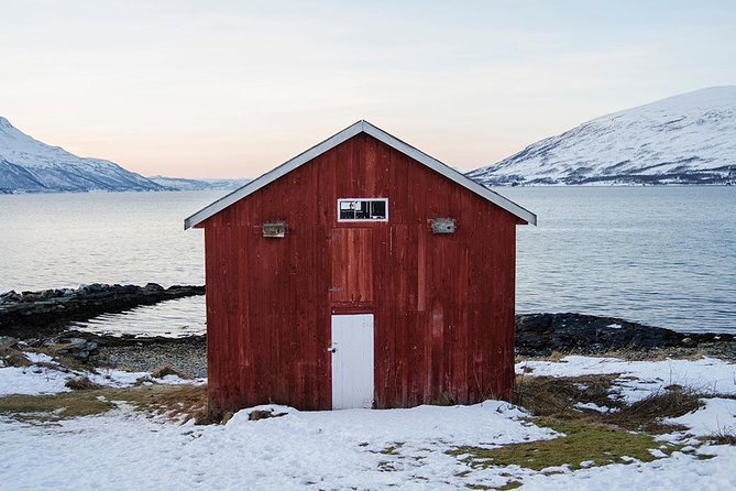 Winter Fjord Road Trip with Wandering Owl - Ersfjordbotn stop: why this fjord is treated like the highlight